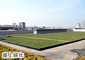 屋上緑化