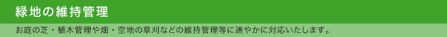 緑地の維持管理