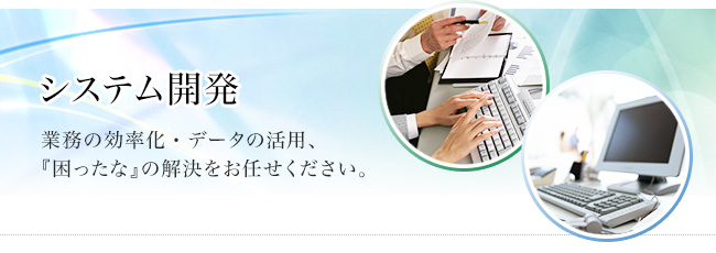 システム開発