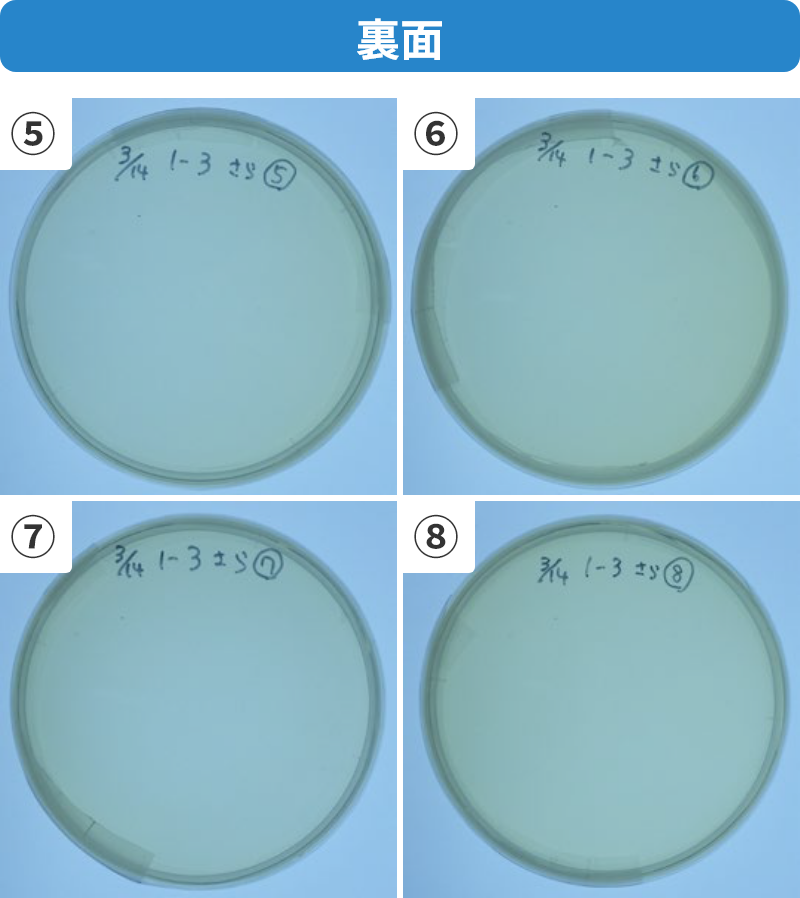 次亜塩素酸カルシウム水溶液裏面